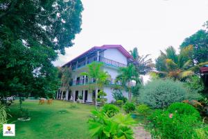 Infinity Nature Resort