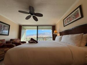 Lahaina Studio: Beachfront, Mountain View, Hot Tub