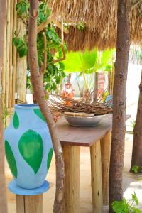 Pousada La vida boutique