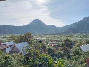 Loox Villa Strawberry Sembalun