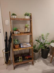 NOVO e DECORADO no Centro de Canela!