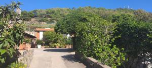 Caserta Holiday Rent