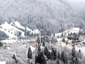 Casa Familiei Dambovicioara