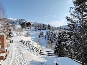 Casa Familiei Dambovicioara