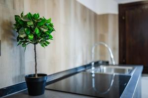 Maserati House & Rooms