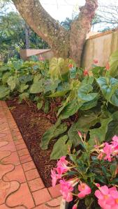 Apartamento térreo aconchegante