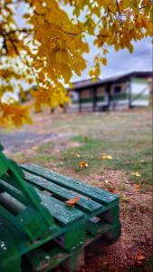 Casuta Mobila Miniş