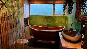 Villa in the forest of Amsterdam with Pool