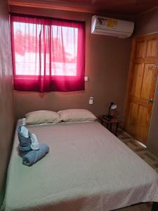 Pochos Place Rio Celeste