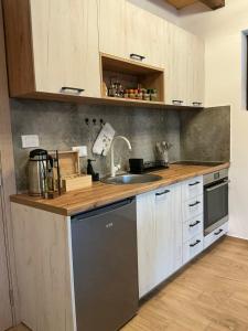 Brvnara Šapat Borova Tara