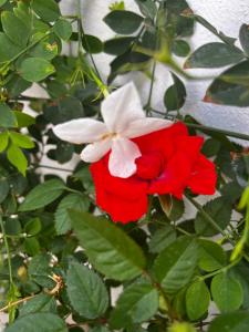 La terraza de la subbética