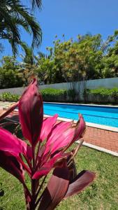 Porto Plaza Flat 110 by La Playa