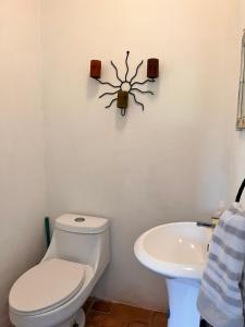 Casa Rural Los Almendros - Tarcoles