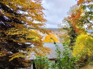 Haus am Wald Radlerrast