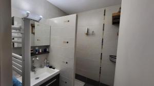 Appartement spacieux et lumineux idéal pour une cure à Brides-les-Bains