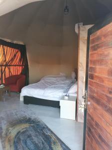 Bedouin Luxe Camp & Tour