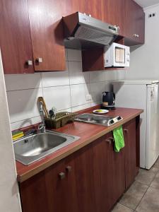 Departamento santiago centro # 308