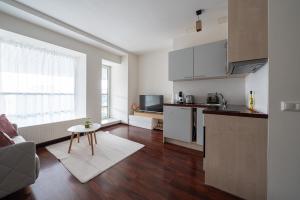 City Light Apartment