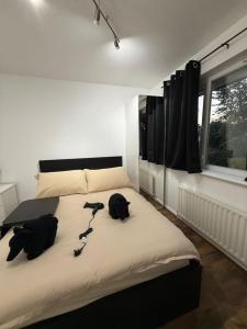 London zone2 room near Battersea