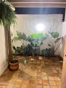 Linda casa em Trancoso