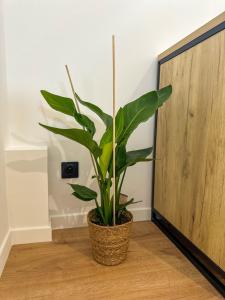 Le Petit Bois, perle de Champagnole