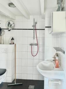 Top floor apartment at Westerpark and Jordaan