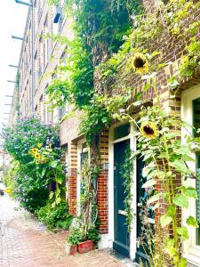 Top floor apartment at Westerpark and Jordaan