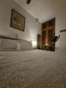 Limón apartment in Puerto Vallarta