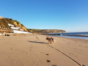 5 The Lookout - 2 bed apartment with parking, balcony & sea views