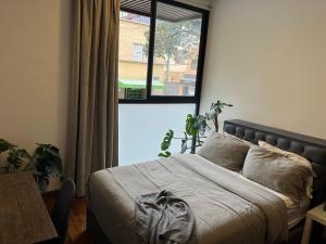 Homestay in Mexico City