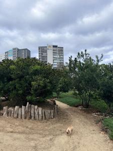 Modern 2BR Ocean View Pool & Kids Area CheckIn 2PM