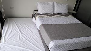 Tropical Oasis Suite