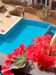 Студия Авангард