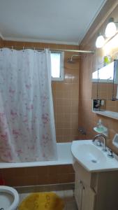 Departamento del centro