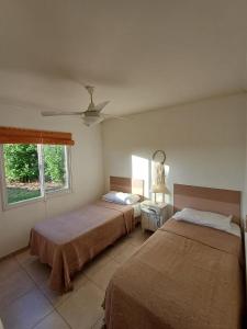 Cabaña Oliva - Privacidad frente a los viñedos