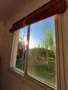 Cabaña Oliva - Privacidad frente a los viñedos