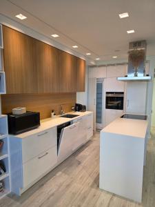 Premium Terrace Apartment Kaunas Žaliakalnis