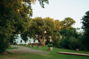 Pauliankos slėnis 1