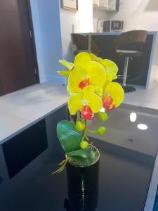 ParkHurst Signature Suite