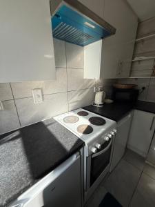 Modern Wembley Apartment Walk to Stadium & Arena