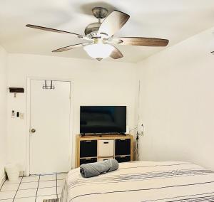 Quiet Miami Stay Perfect for Work, Relax, or party