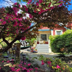 Garden suite on Trinity St - Ubytování bez kategorie ve městě Vancouver