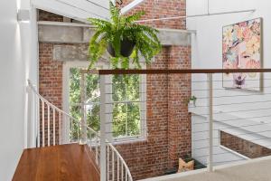 Woolstore Apartments Teneriffe