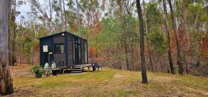 Hidden Camp's Tiny House by Tiny Away