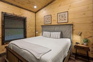 New Cozy Mountain Chalet Hot Tub Near Downtown