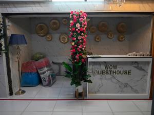 Wow-Guesthouse soi 19