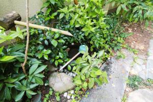 Shinyashiki Guest House - Vacation STAY 78619v