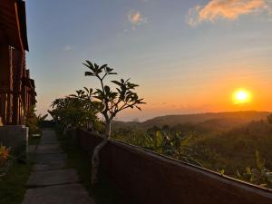 D Sebuluh Guest House