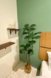 Sembilan Inn by Soft Loft