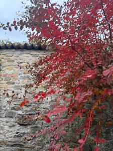 Residenza Il Castello 1 e 2